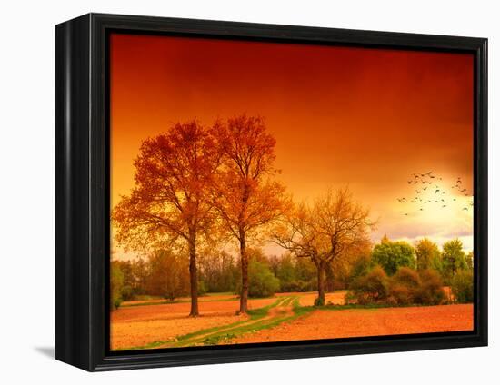 Orange World-Philippe Sainte-Laudy-Framed Premier Image Canvas