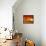 Orange World-Philippe Sainte-Laudy-Framed Premier Image Canvas displayed on a wall