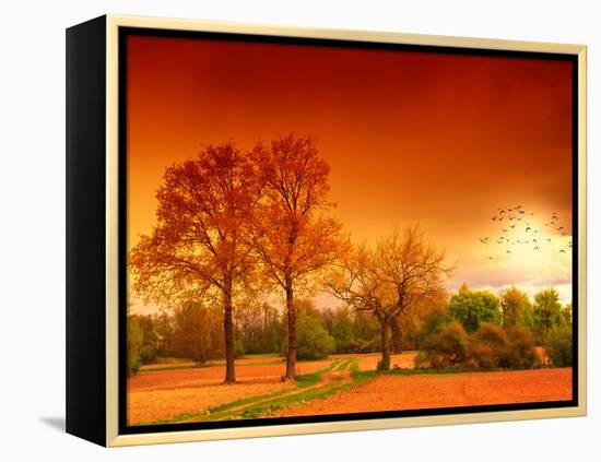 Orange World-Philippe Sainte-Laudy-Framed Premier Image Canvas