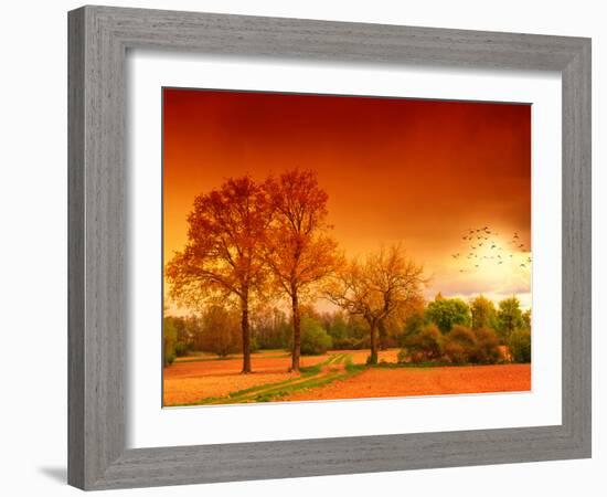 Orange World-Philippe Sainte-Laudy-Framed Photographic Print