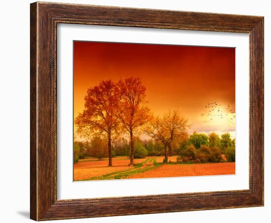 Orange World-Philippe Sainte-Laudy-Framed Photographic Print