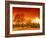 Orange World-Philippe Sainte-Laudy-Framed Photographic Print