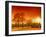 Orange World-Philippe Sainte-Laudy-Framed Photographic Print