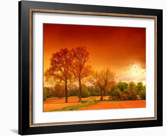 Orange World-Philippe Sainte-Laudy-Framed Photographic Print