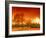 Orange World-Philippe Sainte-Laudy-Framed Photographic Print