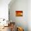 Orange World-Philippe Sainte-Laudy-Mounted Photographic Print displayed on a wall