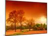 Orange World-Philippe Sainte-Laudy-Mounted Photographic Print