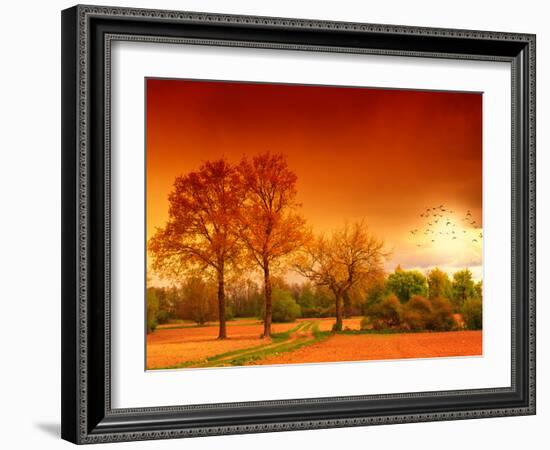 Orange World-Philippe Sainte-Laudy-Framed Photographic Print