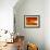 Orange World-Philippe Sainte-Laudy-Framed Photographic Print displayed on a wall