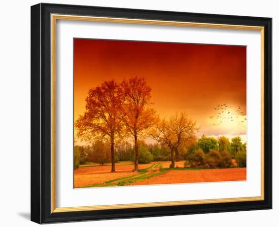 Orange World-Philippe Sainte-Laudy-Framed Photographic Print