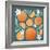 Orange Zest III-Gia Graham-Framed Art Print