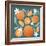 Orange Zest III-Gia Graham-Framed Art Print