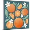 Orange Zest III-Gia Graham-Mounted Art Print