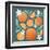 Orange Zest III-Gia Graham-Framed Art Print