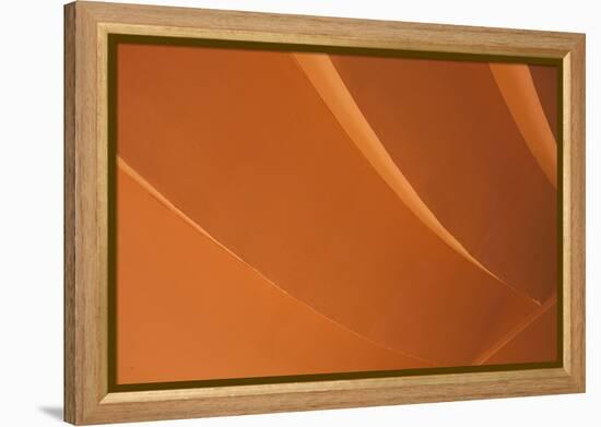 Orange-Karyn Millet-Framed Premier Image Canvas