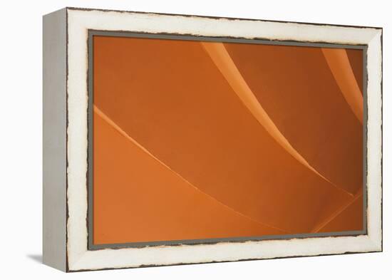 Orange-Karyn Millet-Framed Premier Image Canvas