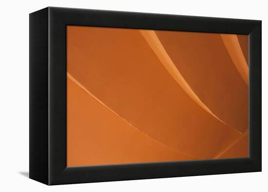 Orange-Karyn Millet-Framed Premier Image Canvas