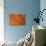 Orange-Karyn Millet-Photographic Print displayed on a wall