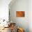 Orange-Karyn Millet-Photographic Print displayed on a wall