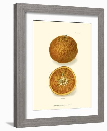 Orange-null-Framed Art Print