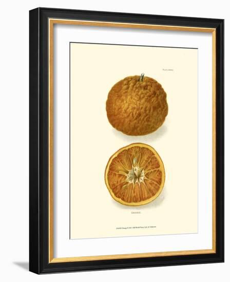 Orange-null-Framed Art Print