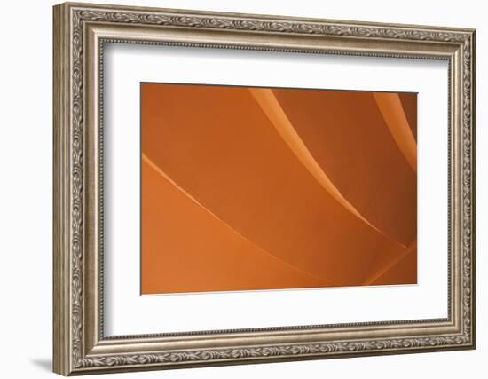 Orange-Karyn Millet-Framed Photographic Print