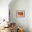 Orange-Karyn Millet-Framed Photographic Print displayed on a wall