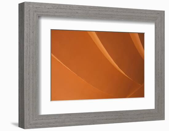 Orange-Karyn Millet-Framed Photographic Print