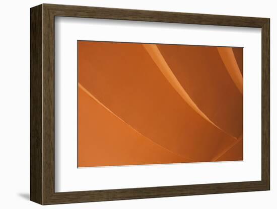 Orange-Karyn Millet-Framed Photographic Print