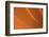 Orange-Karyn Millet-Framed Photographic Print