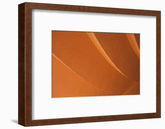 Orange-Karyn Millet-Framed Photographic Print