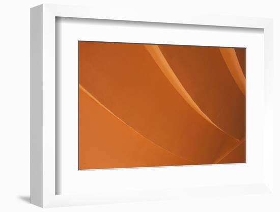 Orange-Karyn Millet-Framed Photographic Print