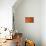 Orange-Karyn Millet-Mounted Photographic Print displayed on a wall