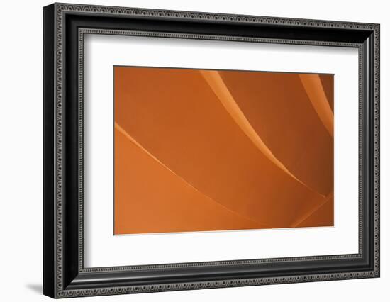 Orange-Karyn Millet-Framed Photographic Print