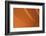 Orange-Karyn Millet-Framed Photographic Print