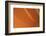 Orange-Karyn Millet-Framed Photographic Print