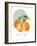 Orange-Carol Robinson-Framed Art Print