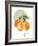 Orange-Carol Robinson-Framed Art Print