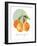 Orange-Carol Robinson-Framed Art Print