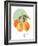 Orange-Carol Robinson-Framed Art Print