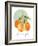 Orange-Carol Robinson-Framed Art Print