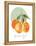Orange-Carol Robinson-Framed Stretched Canvas