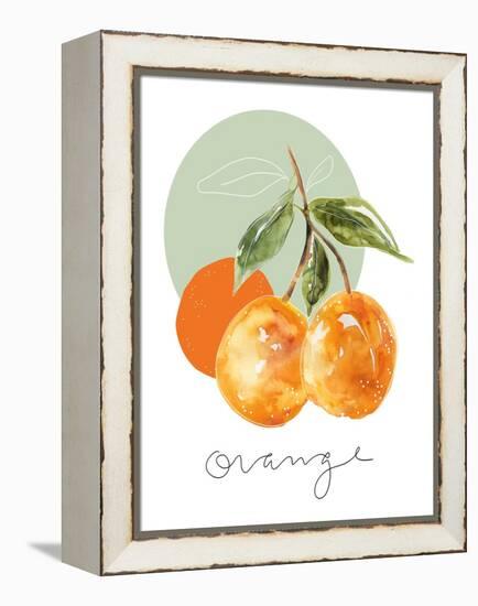 Orange-Carol Robinson-Framed Stretched Canvas