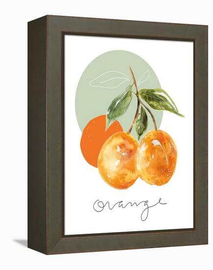 Orange-Carol Robinson-Framed Stretched Canvas