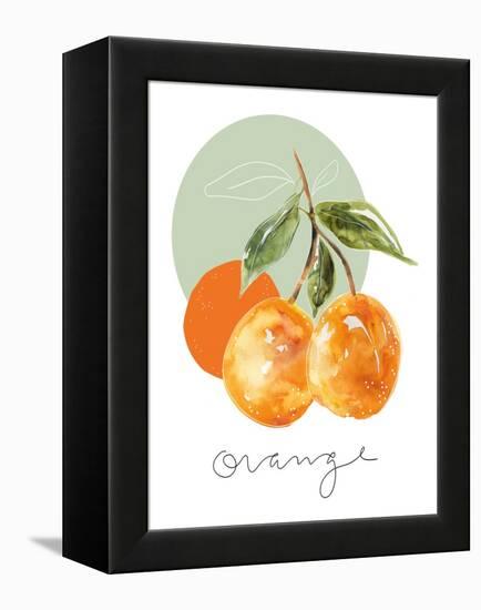 Orange-Carol Robinson-Framed Stretched Canvas