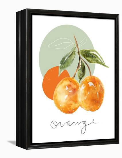 Orange-Carol Robinson-Framed Stretched Canvas