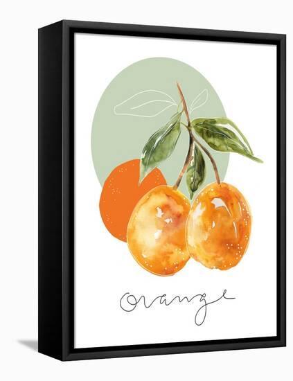 Orange-Carol Robinson-Framed Stretched Canvas