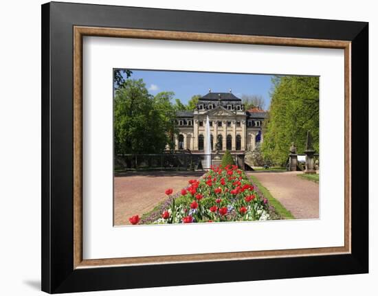 Orangery in the palace garden of Fulda, Hesse, Germany-null-Framed Premium Giclee Print