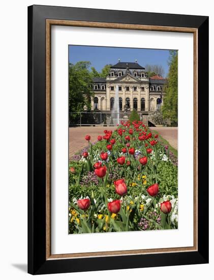 Orangery in the palace garden of Fulda, Hesse, Germany-null-Framed Art Print