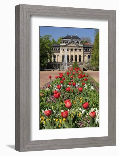 Orangery in the palace garden of Fulda, Hesse, Germany-null-Framed Art Print